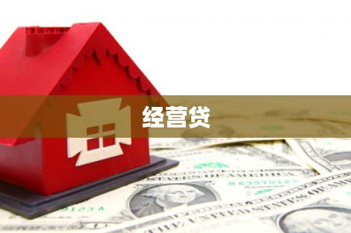 定安经营贷