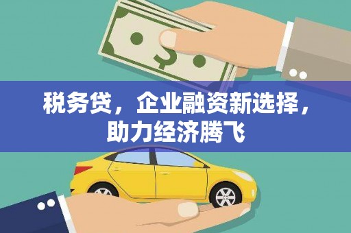 定安税务贷，企业融资新选择，助力经济腾飞