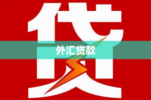 定安外汇贷款