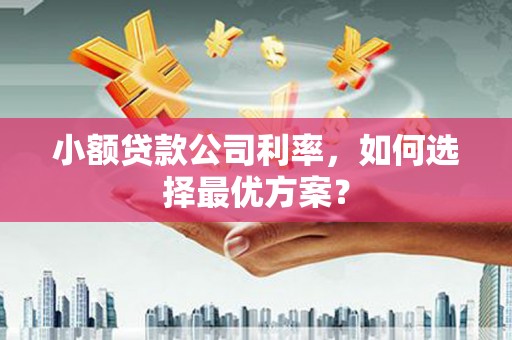定安小额贷款公司利率，如何选择最优方案？