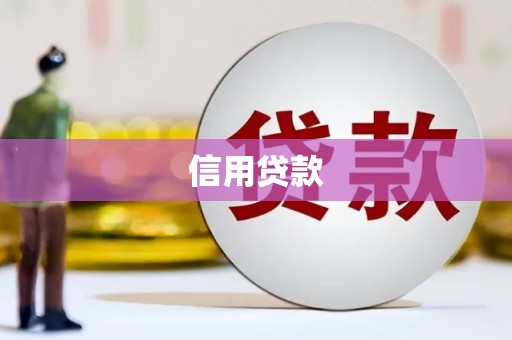定安信用贷款