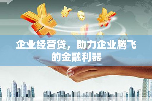 定安企业经营贷，助力企业腾飞的金融利器