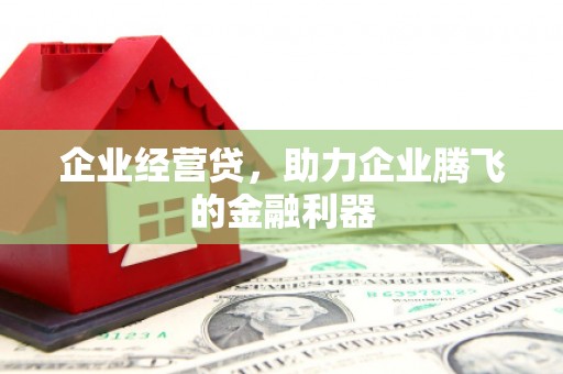 定安企业经营贷，助力企业腾飞的金融利器