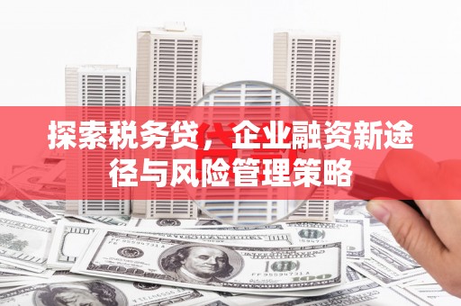 定安探索税务贷，企业融资新途径与风险管理策略
