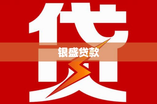 定安银盛贷款