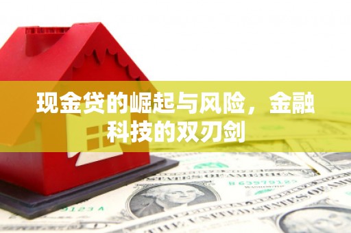定安现金贷的崛起与风险，金融科技的双刃剑