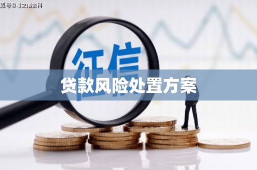 定安贷款风险处置方案