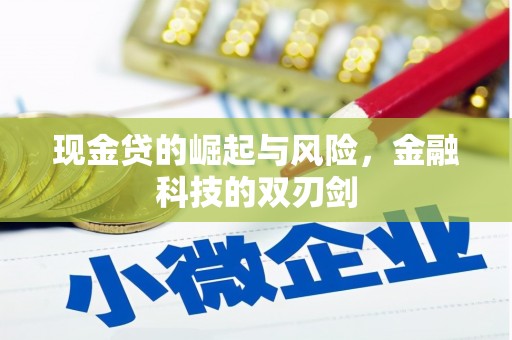 定安现金贷的崛起与风险，金融科技的双刃剑