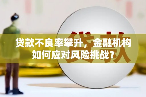 定安贷款不良率攀升，金融机构如何应对风险挑战？