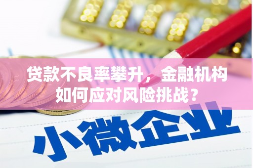 定安贷款不良率攀升，金融机构如何应对风险挑战？