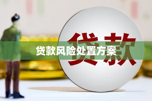 定安贷款风险处置方案