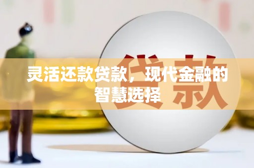 定安灵活还款贷款，现代金融的智慧选择