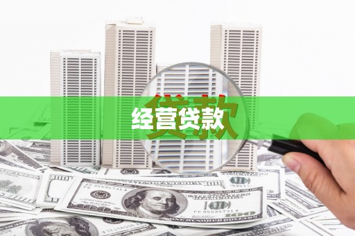 定安经营贷款