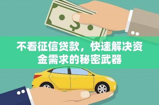 定安不看征信贷款，快速解决资金需求的秘密武器