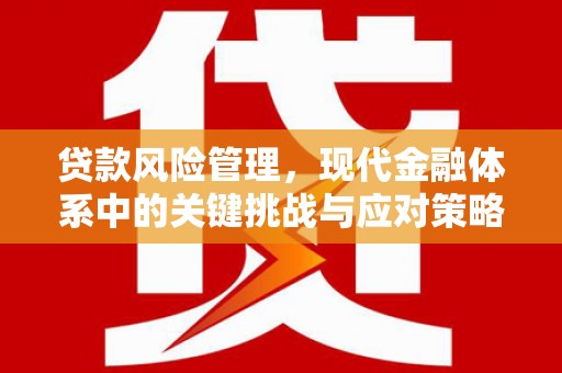 定安贷款风险管理，现代金融体系中的关键挑战与应对策略