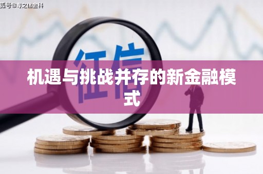 定安机遇与挑战并存的新金融模式