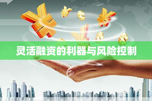 定安灵活融资的利器与风险控制