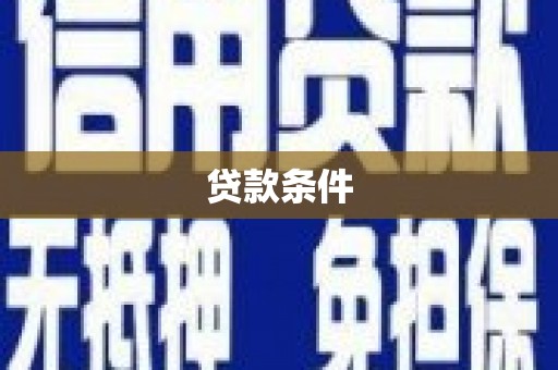 定安贷款条件