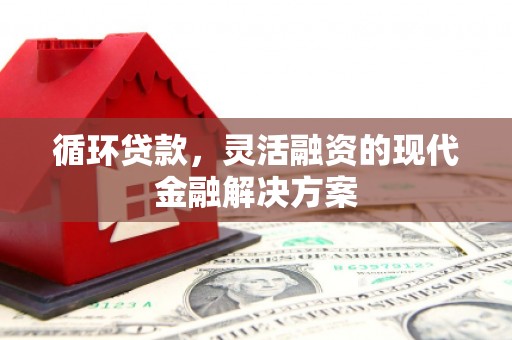 定安循环贷款，灵活融资的现代金融解决方案