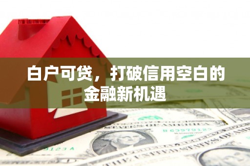 定安白户可贷，打破信用空白的金融新机遇