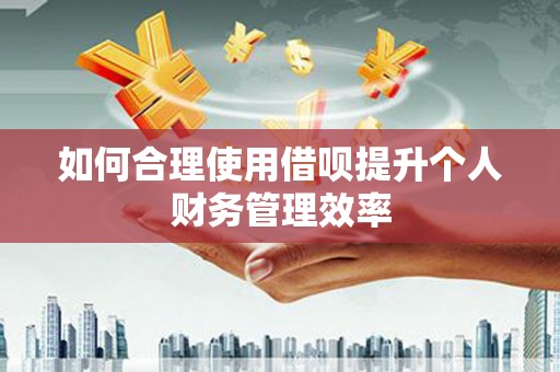 定安如何合理使用借呗提升个人财务管理效率
