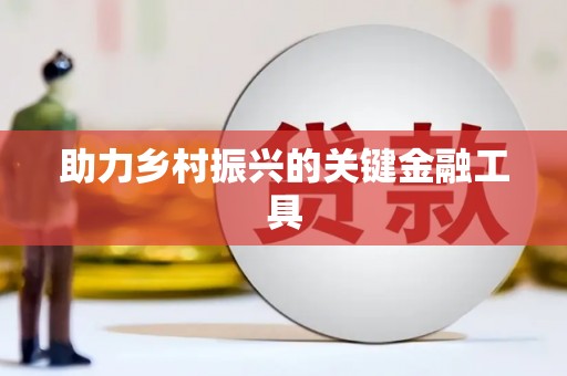 定安助力乡村振兴的关键金融工具