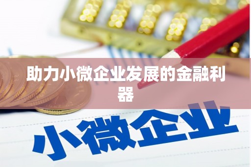 定安助力小微企业发展的金融利器
