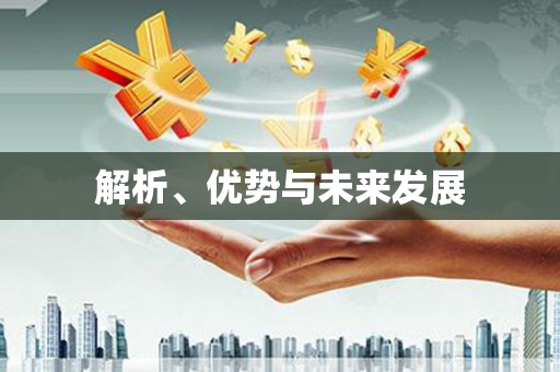 定安解析、优势与未来发展