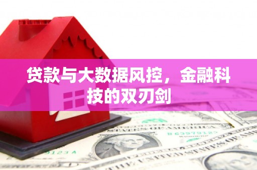 定安贷款与大数据风控，金融科技的双刃剑