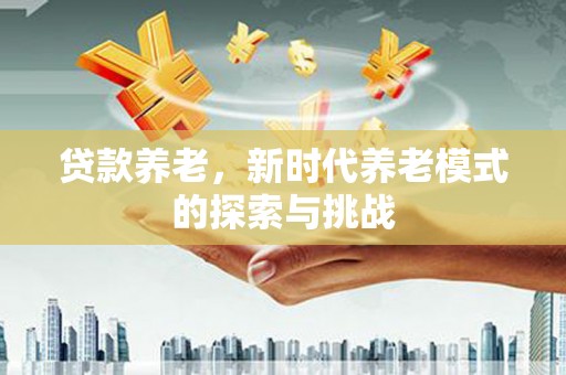 定安贷款养老，新时代养老模式的探索与挑战