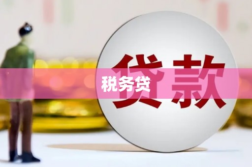 定安税务贷