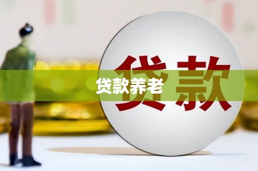 定安贷款养老