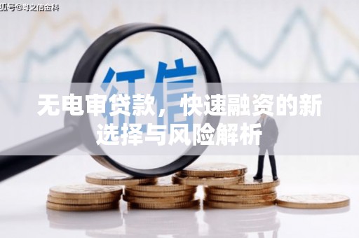 定安无电审贷款，快速融资的新选择与风险解析