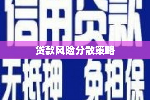 定安贷款风险分散策略