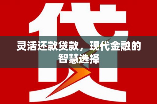 定安灵活还款贷款，现代金融的智慧选择