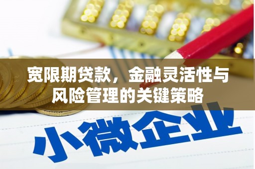 定安宽限期贷款，金融灵活性与风险管理的关键策略