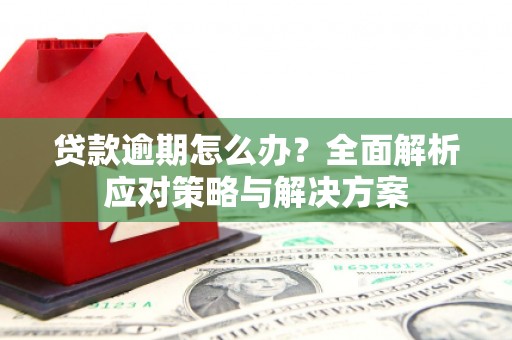 定安贷款逾期怎么办？全面解析应对策略与解决方案
