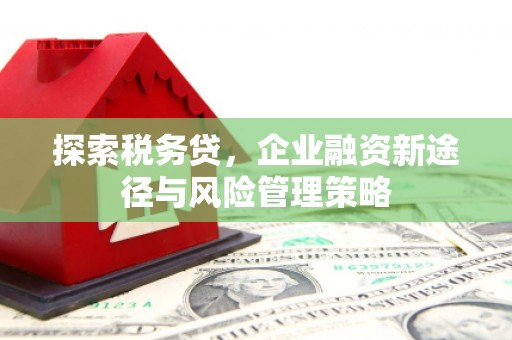 定安探索税务贷，企业融资新途径与风险管理策略