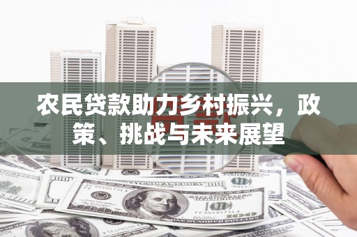 定安农民贷款助力乡村振兴，政策、挑战与未来展望
