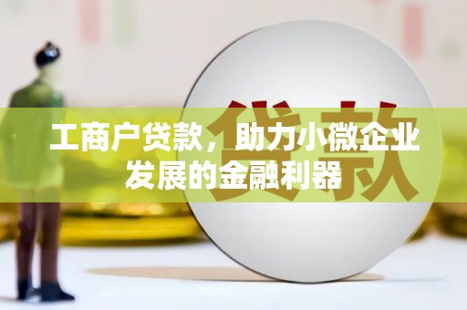 定安工商户贷款，助力小微企业发展的金融利器