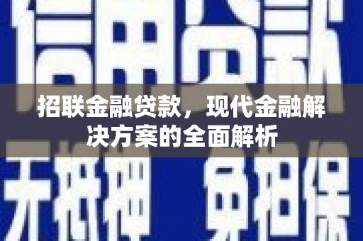 定安招联金融贷款，现代金融解决方案的全面解析