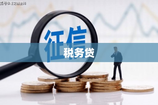 定安税务贷