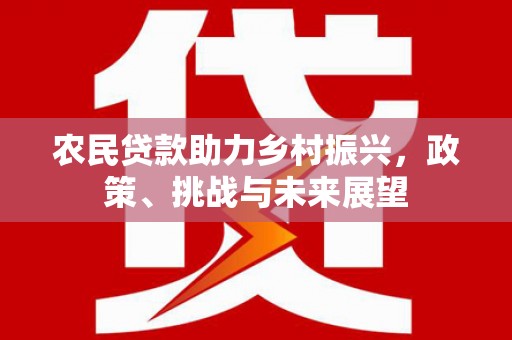 定安农民贷款助力乡村振兴，政策、挑战与未来展望