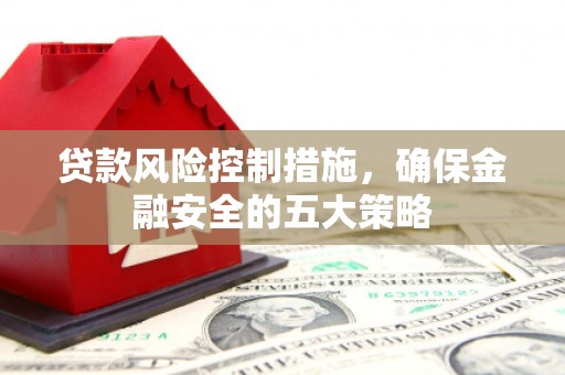 定安贷款风险控制措施，确保金融安全的五大策略