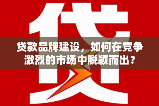 定安贷款品牌建设，如何在竞争激烈的市场中脱颖而出？