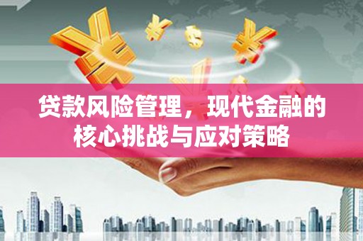 定安贷款风险管理，现代金融的核心挑战与应对策略