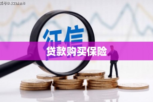 定安贷款购买保险
