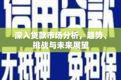 定安深入贷款市场分析，趋势、挑战与未来展望