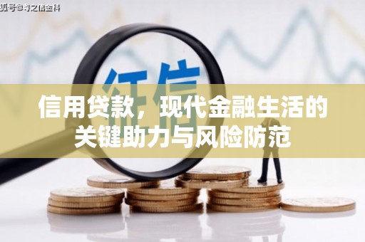 定安信用贷款，现代金融生活的关键助力与风险防范