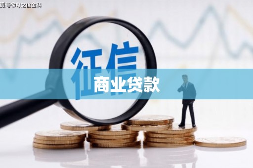 定安商业贷款